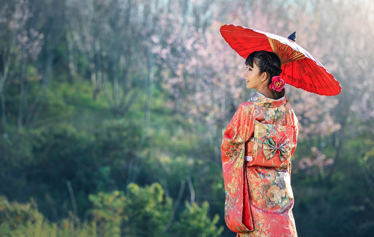 ¿Cuánto cuesta el servicio de una geisha?