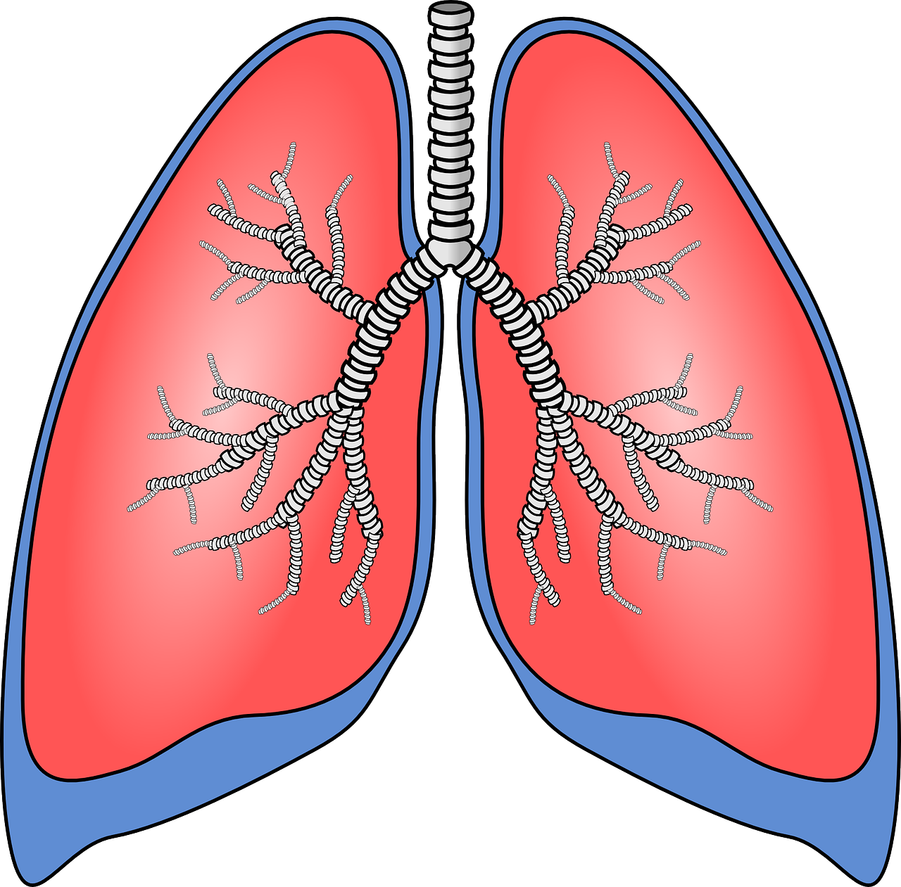 ¿Cómo saber si mis pulmones están limpios?