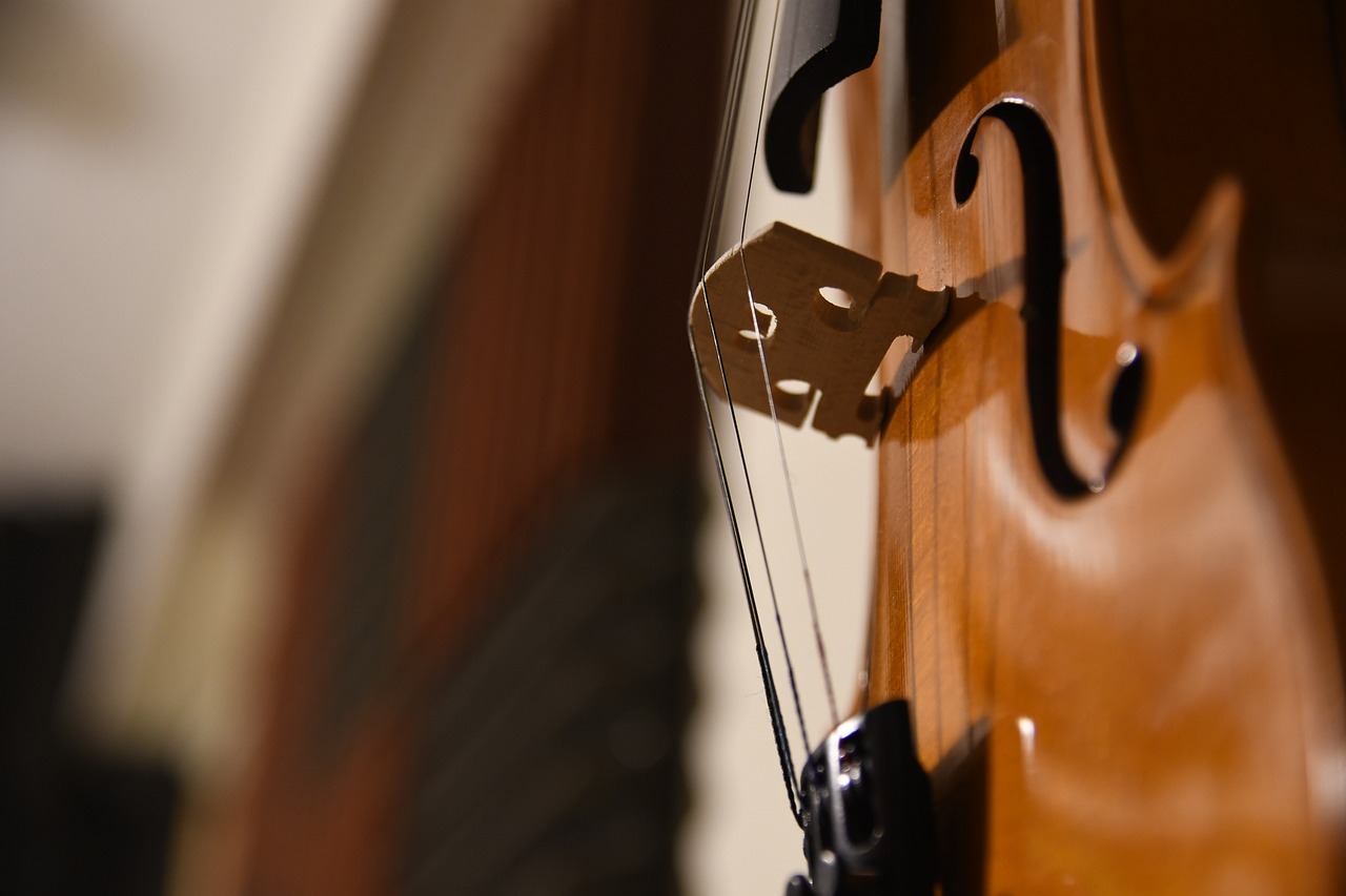 ¿Qué sonido produce el violonchelo?