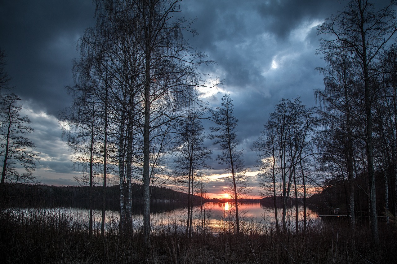 ¿Cómo se llama el rey de Finlandia?