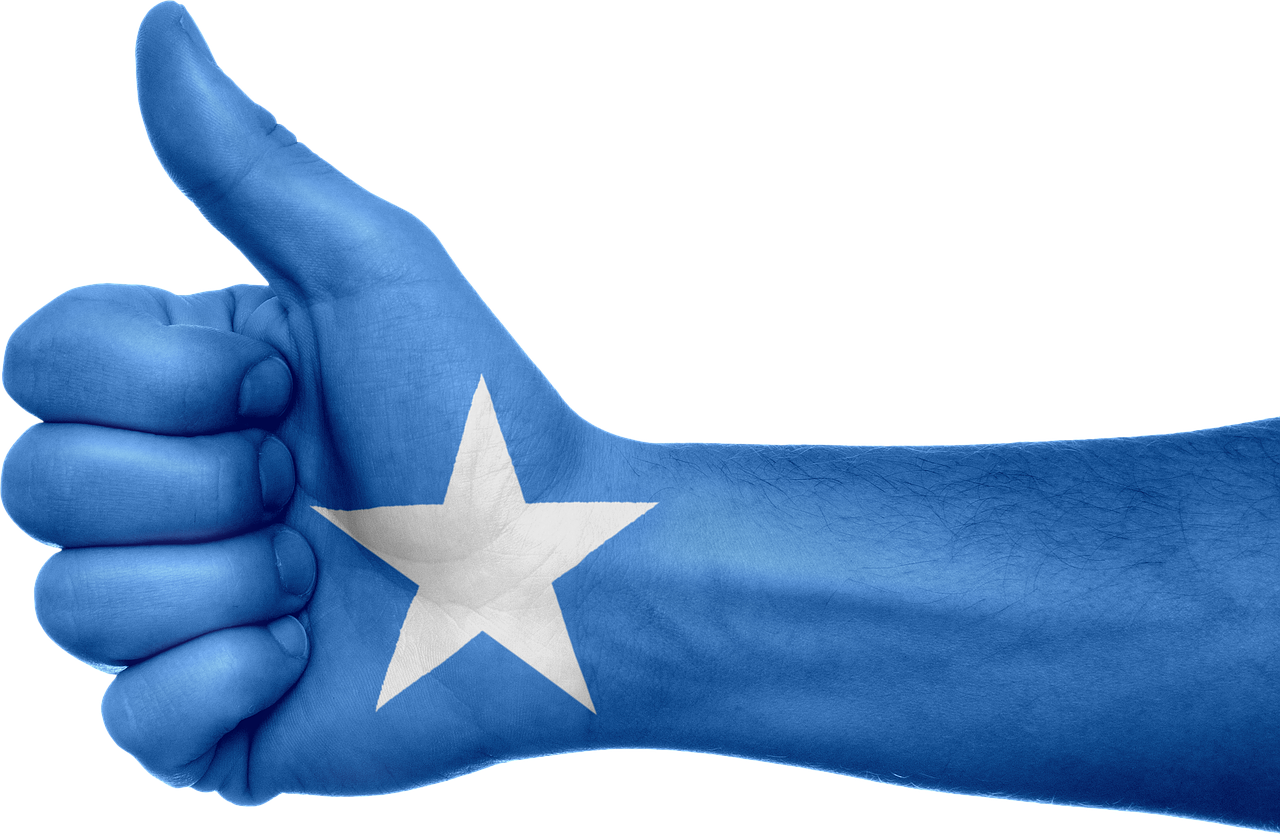 ¿Qué pasó en Somalia en 1993?